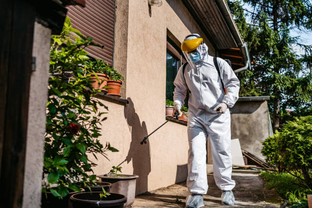 Best Affordable Pest Control Services  in Oakland Park, FL