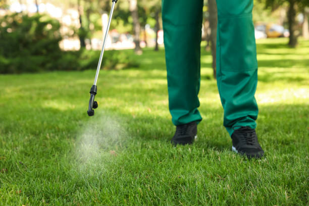 Best Emergency Pest Control  in Oakland Park, FL