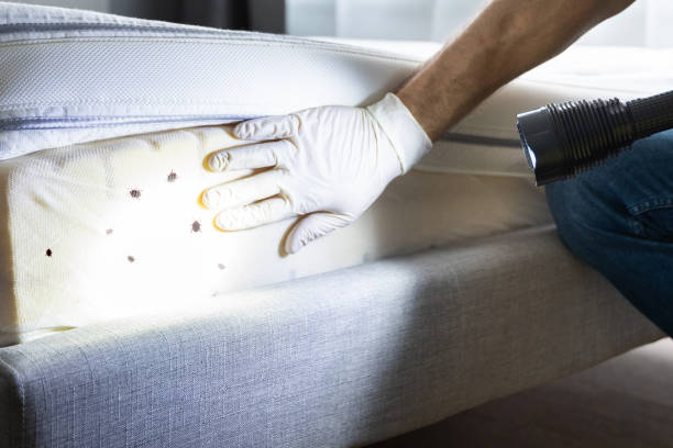Best Flea Control Services  in Oakland Park, FL