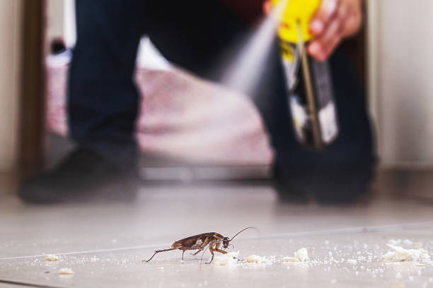 Best Pest Inspection Near Me  in Oakland Park, FL