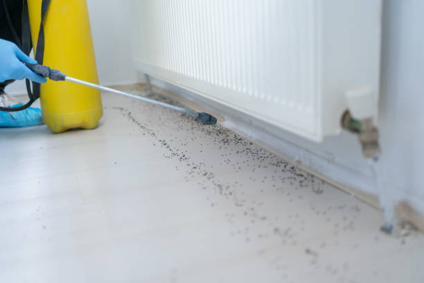Best Affordable Pest Control Services  in Oakland Park, FL