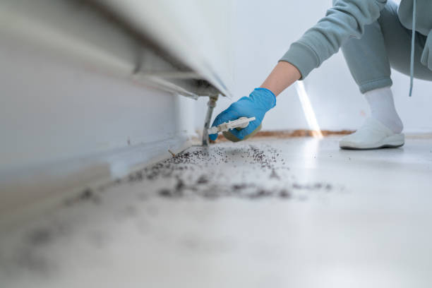 Best Pest Prevention Services  in Oakland Park, FL
